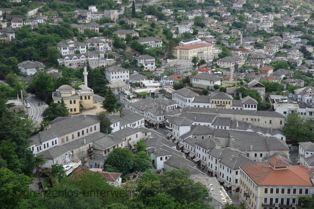 20230611155901 DSC03645