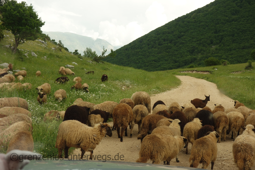 20230612114704 DSC03703