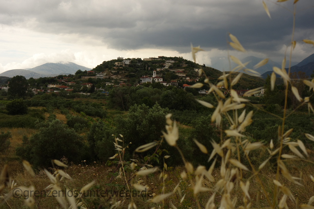 20230612160345 DSC03716