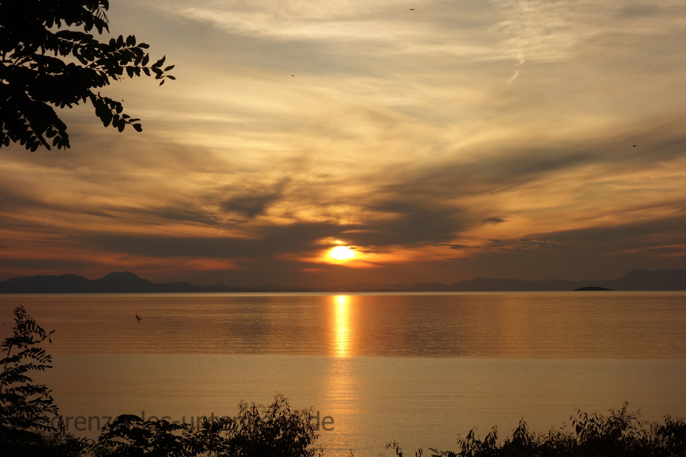 20230613202309 DSC03804