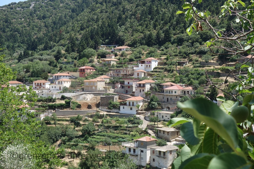 20210709162406 DSC08413