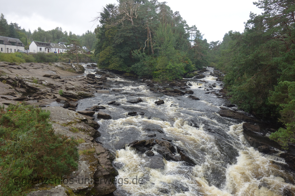 20220825123236 DSC00617