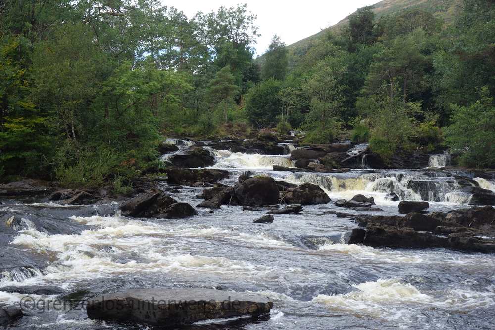 20220825123954 DSC00622