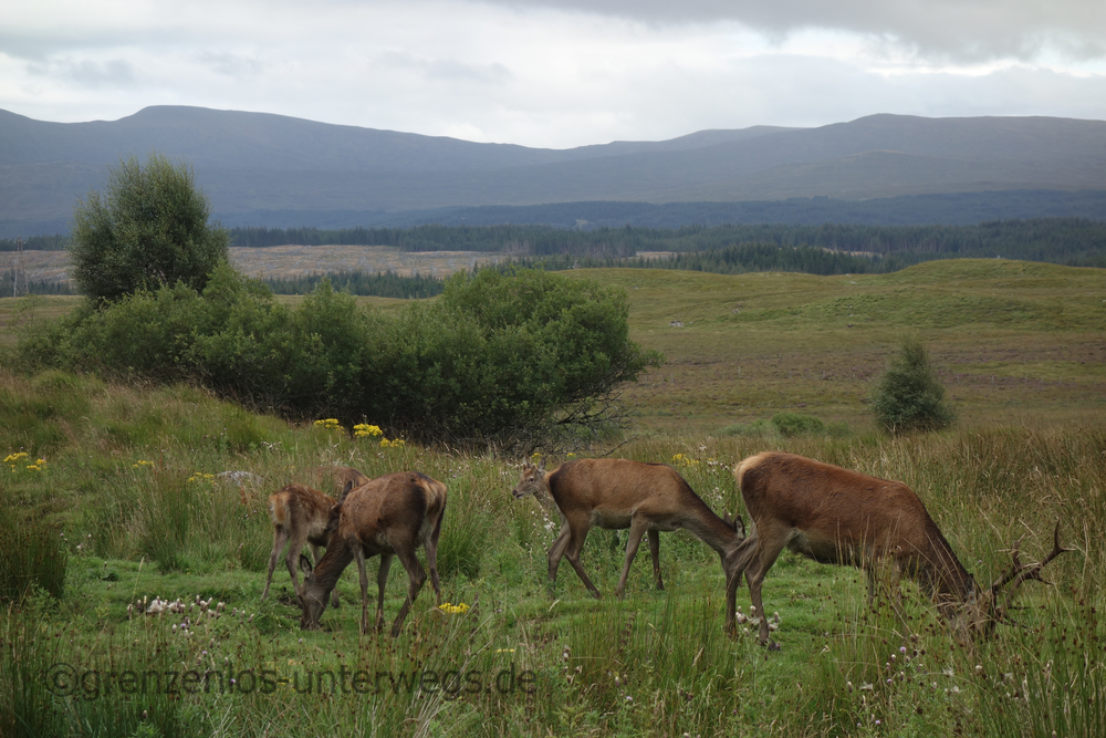 20220825193818 DSC00676