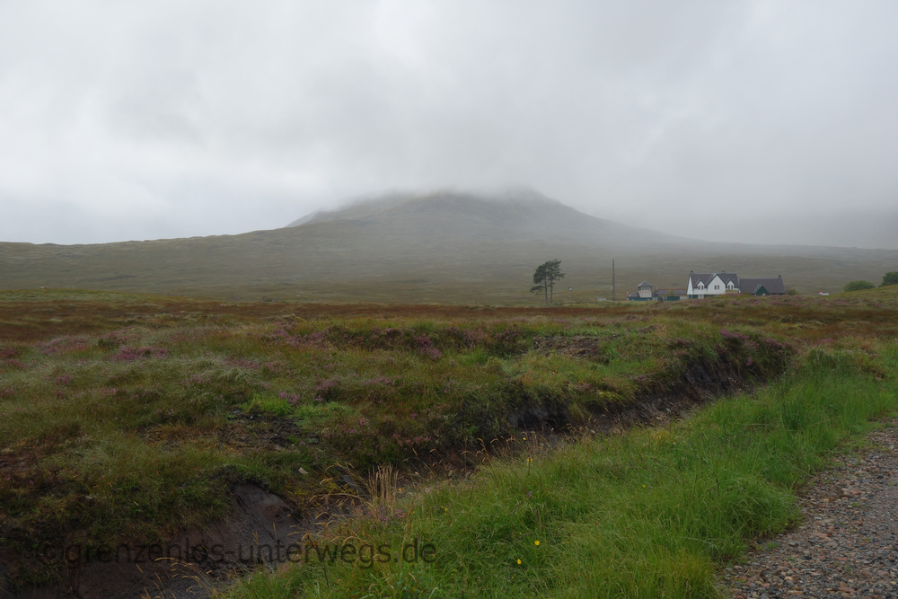 20220826130825 DSC00704