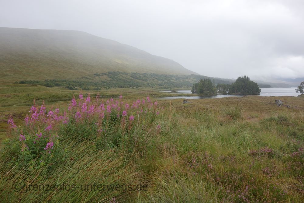 20220826132305 DSC00705