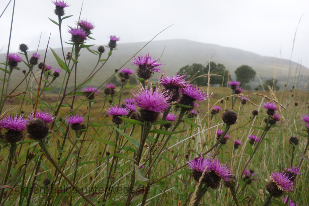 20220826132749 DSC00709