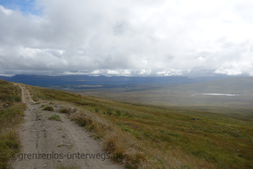 20220826161051 DSC00729