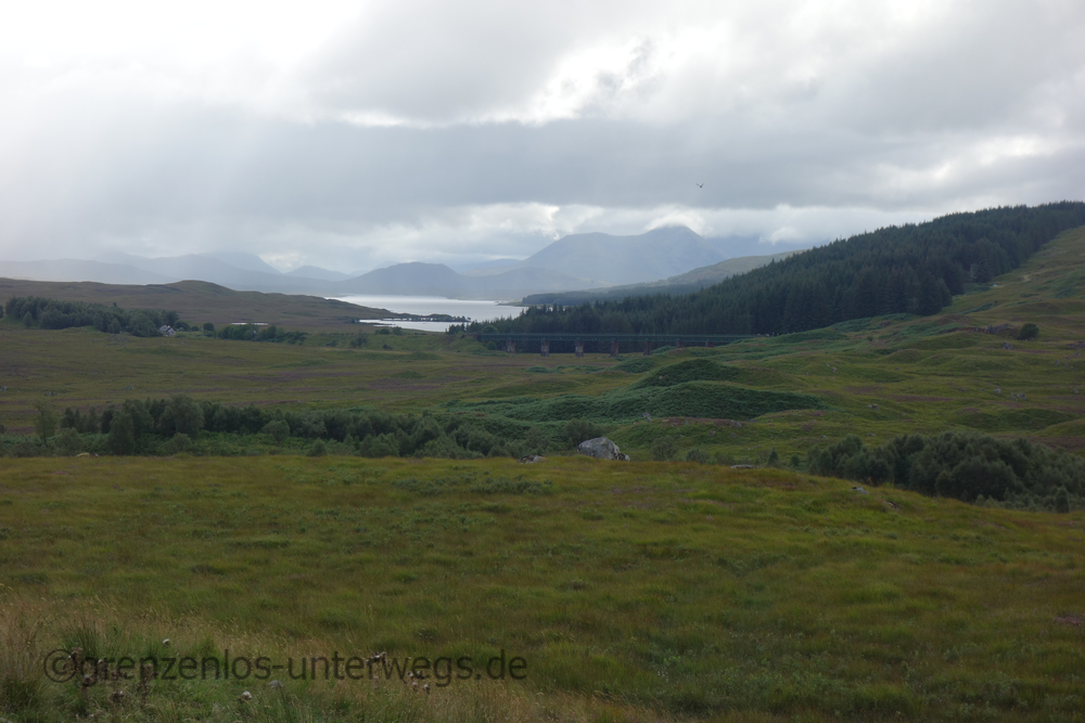 20220826175946 DSC00737