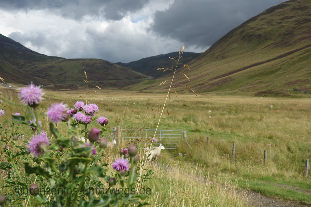 20220828144503 DSC00833