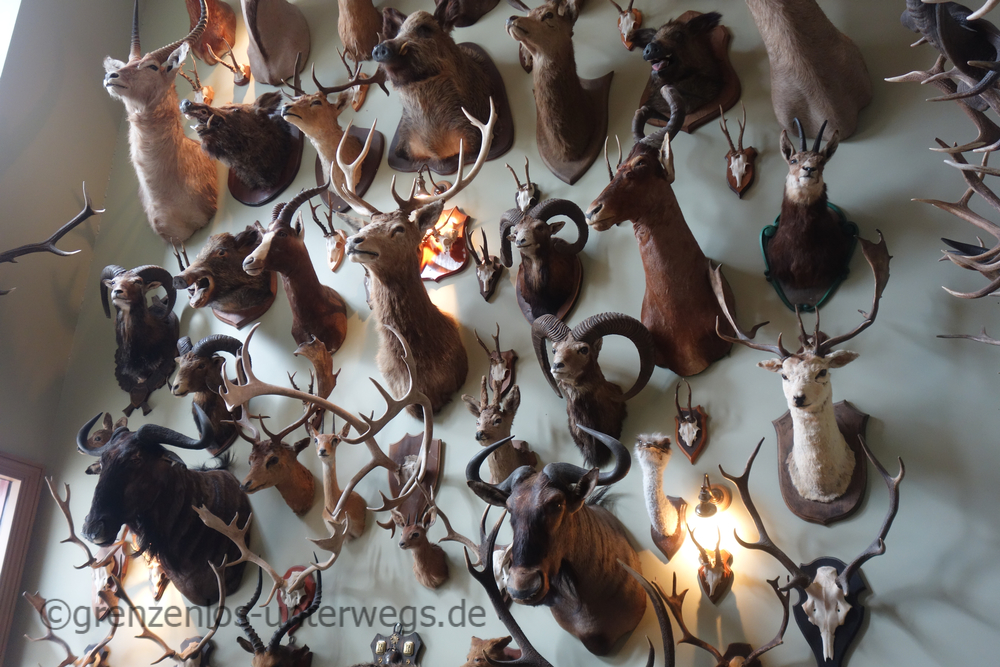 20220828152605 DSC00846