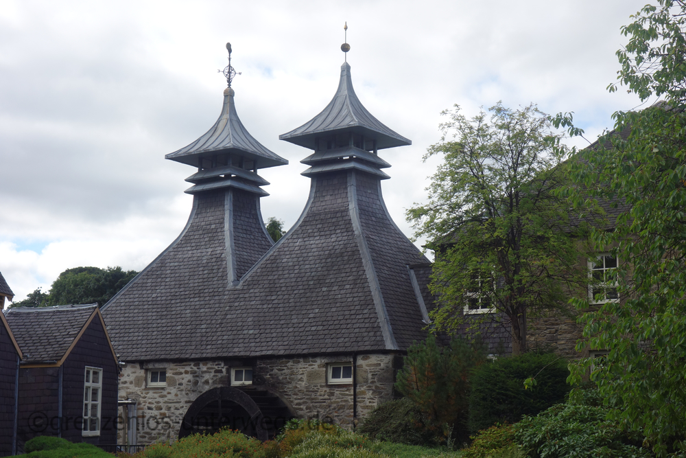 20220830131011 DSC00987