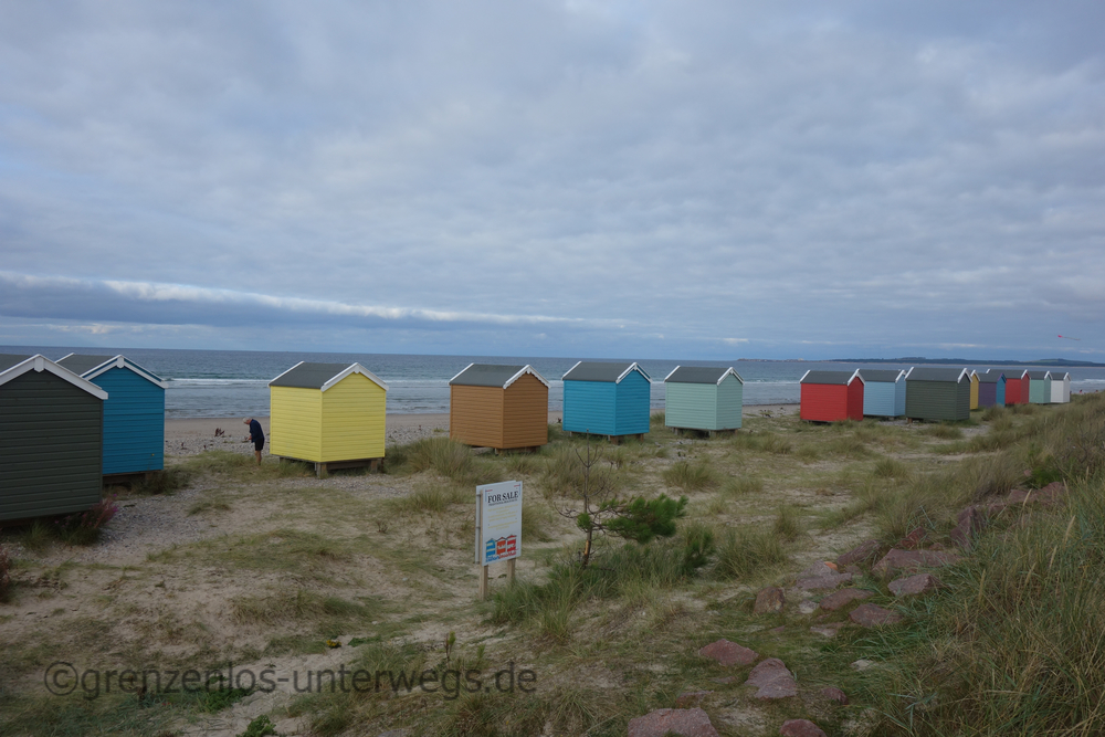 20220830192650 DSC01048