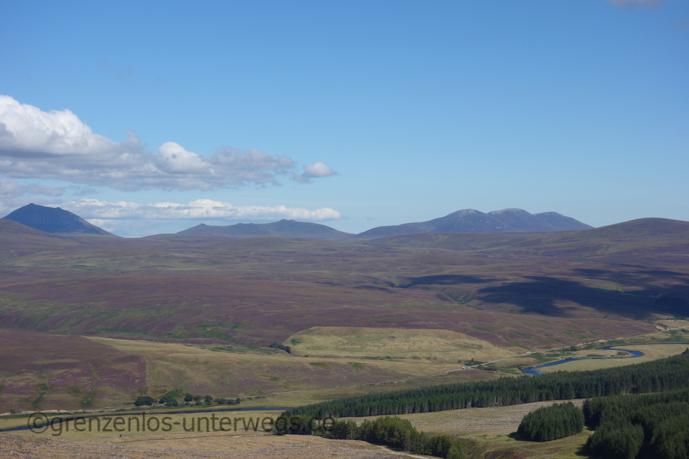 20220901151510 DSC01177