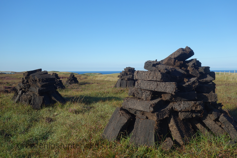 20220901190833 DSC01205