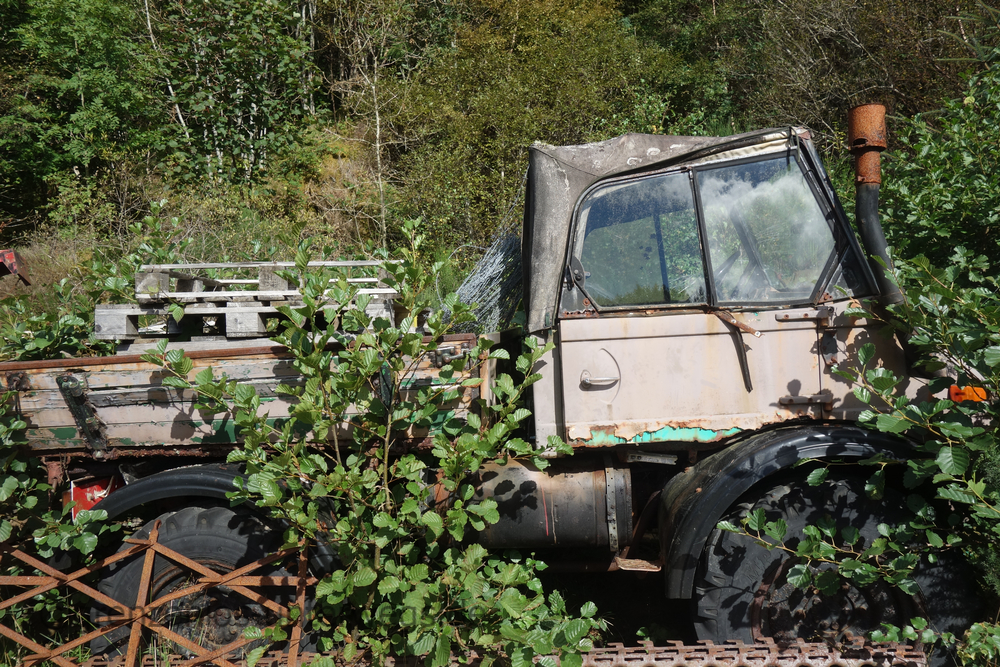 20220905140201 DSC01312