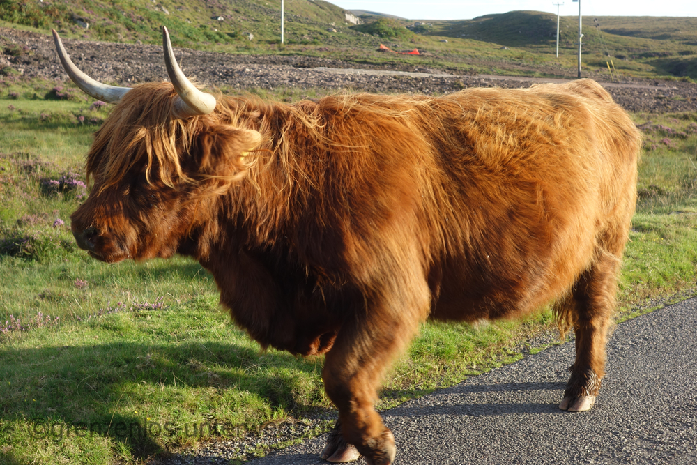 20220905201409 DSC01366