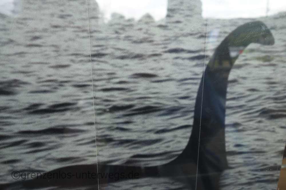 20220906183347 DSC01437