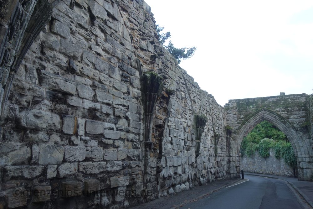 20220907195607 DSC01518