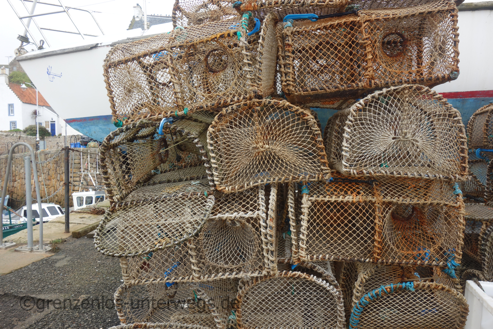 20220908125413 DSC01546