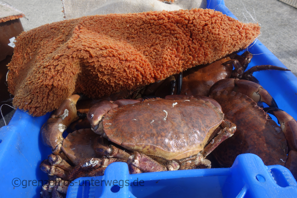 20220908141848 DSC01571